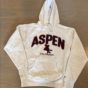 Aspen Gray Hoodie